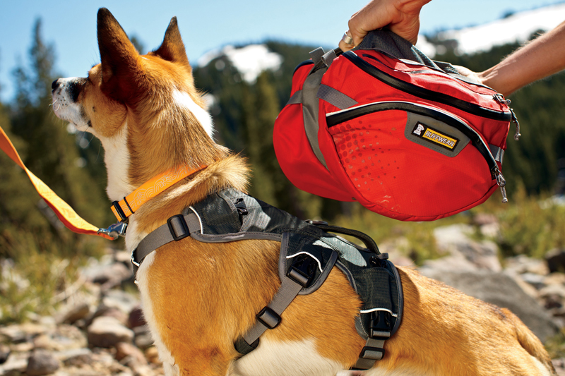 palisades-dog-pack-ruffwear.jpg