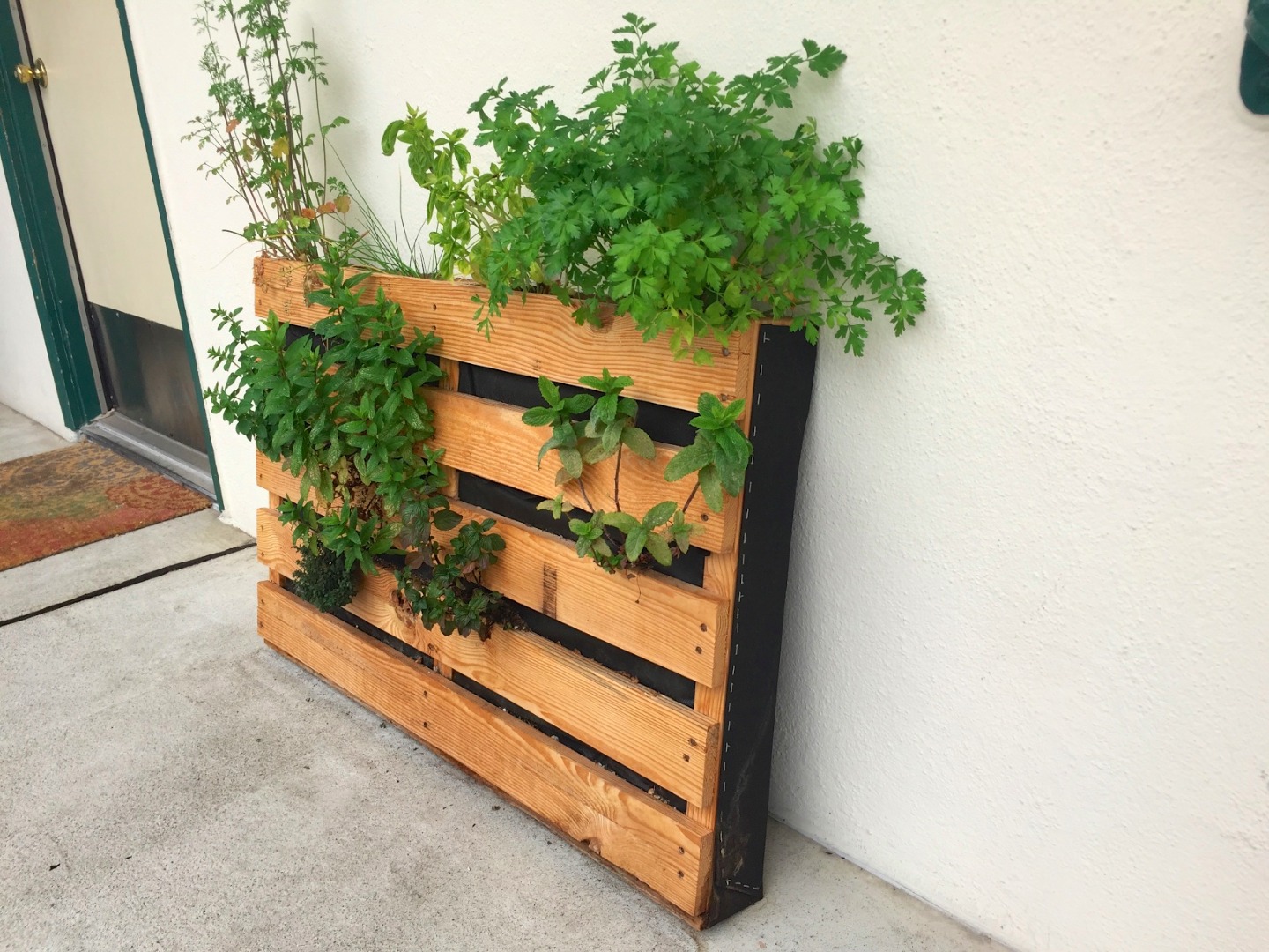 pallet gardens.jpg