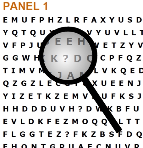 panel1-mag.jpg