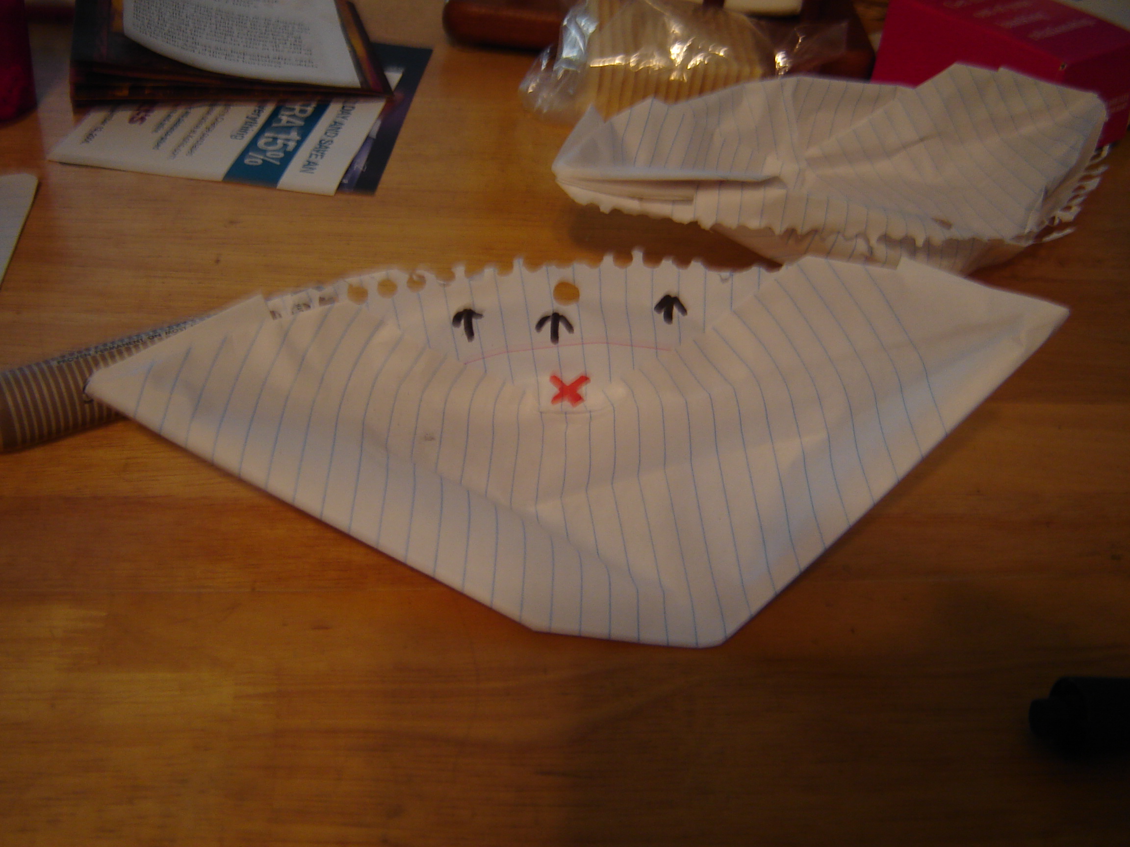 paper boat 008.jpg