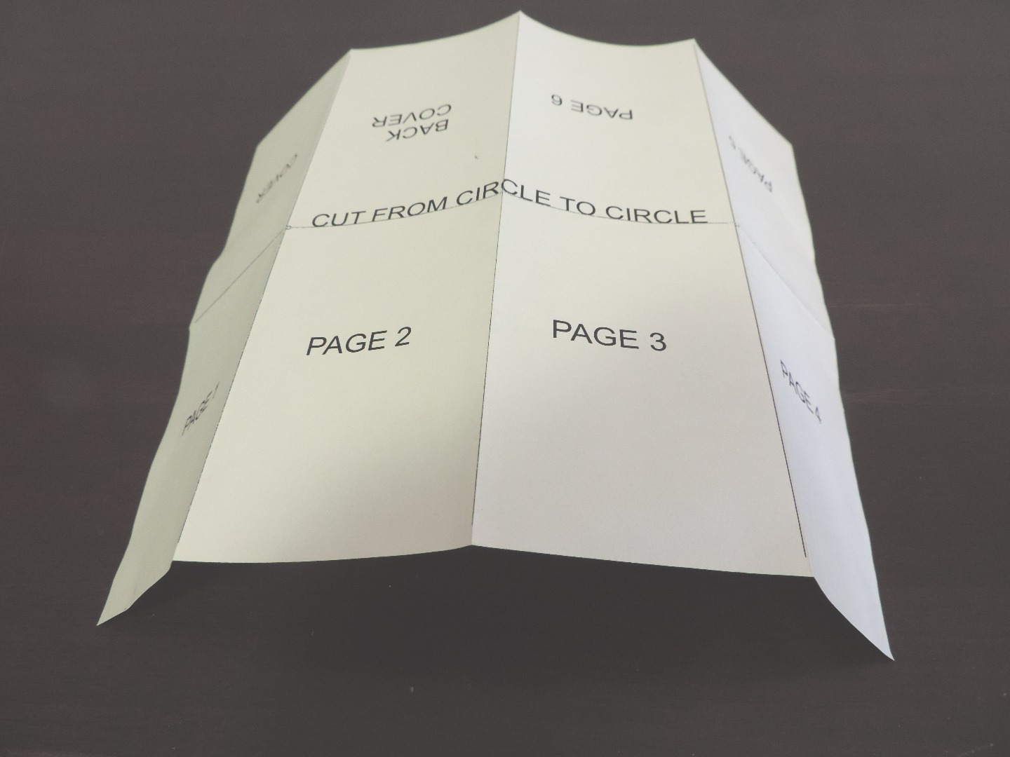 paper sm showing fold 3 and 4 better.jpg