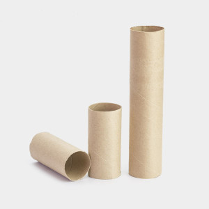 paper towel rolls.jpg