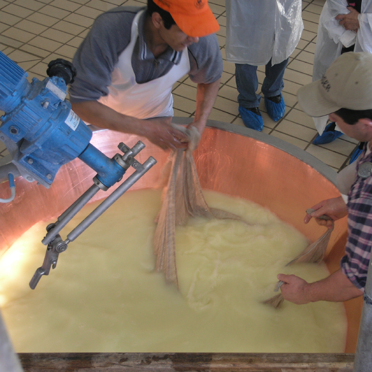 parmesan_making009.JPG