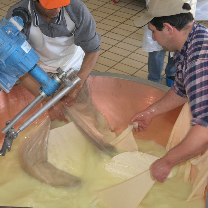 parmesan_making010.JPG