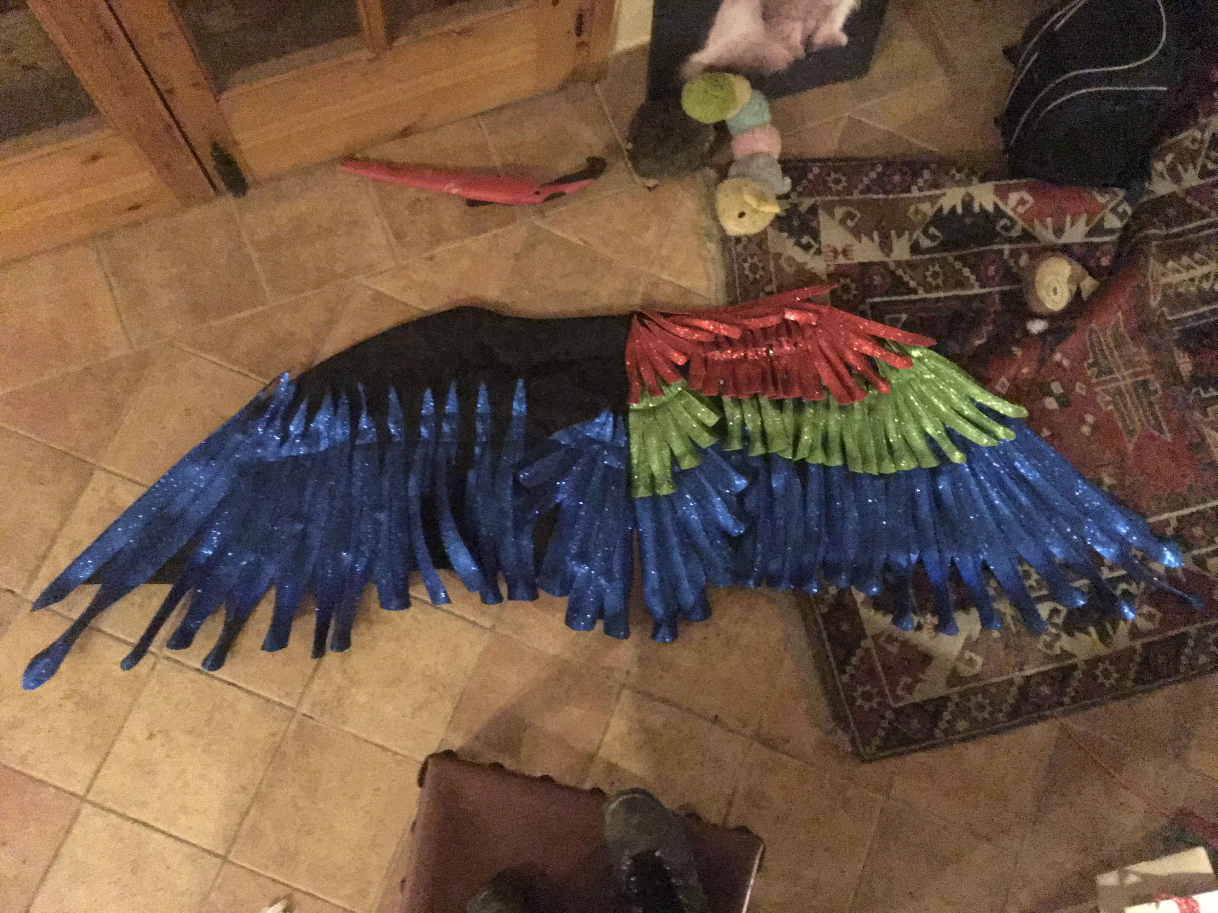 parrot wings 1.jpg