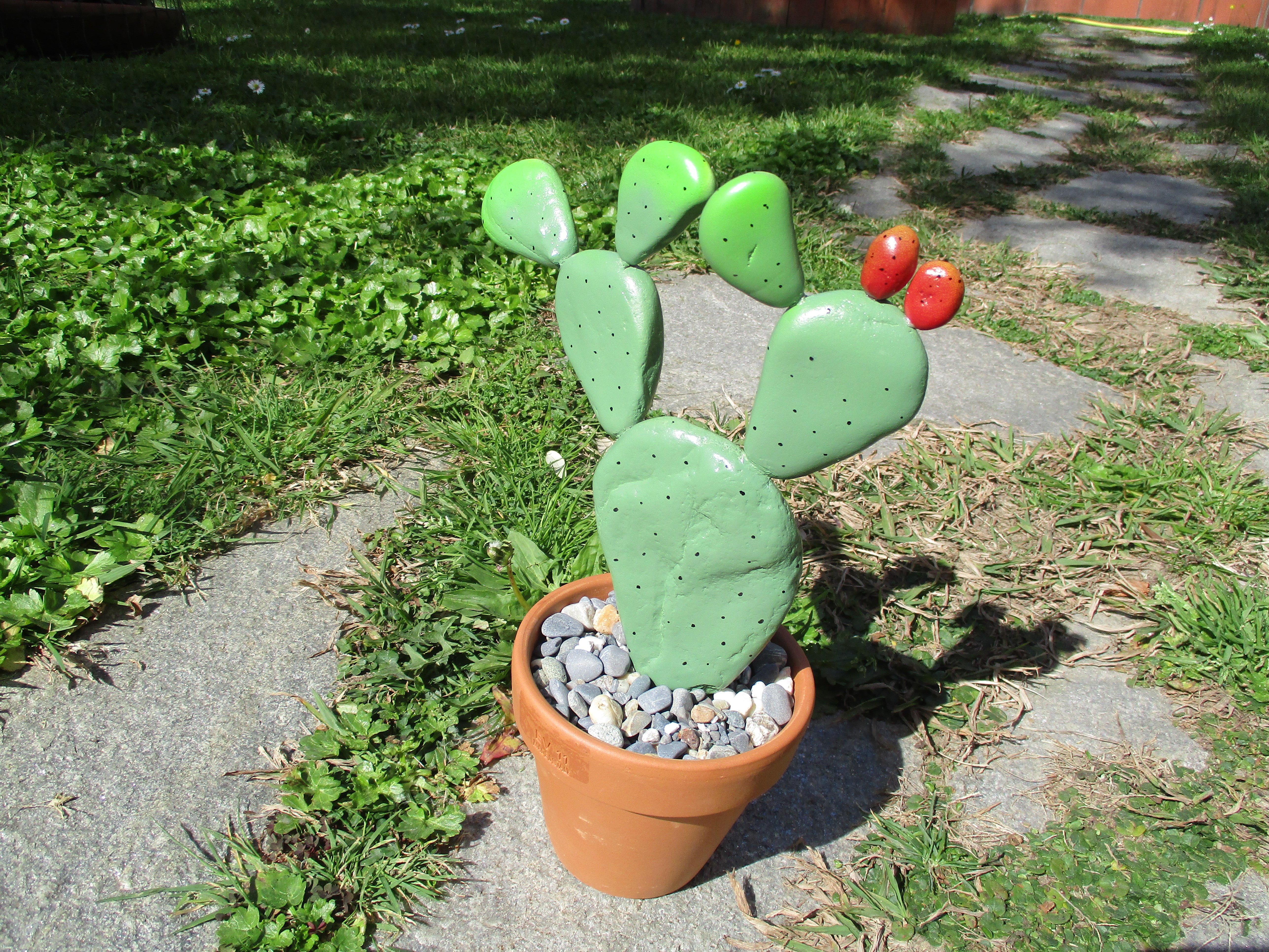 pebble_cactus4.JPG