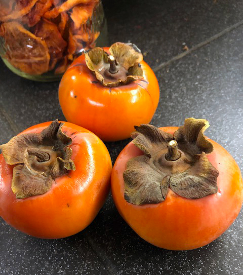 persimmons.jpg