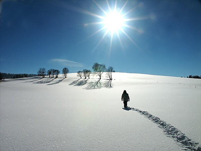 person-walking-snow.jpg