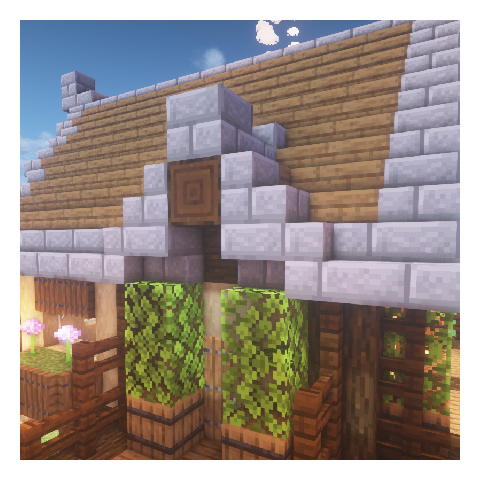pic31.png
