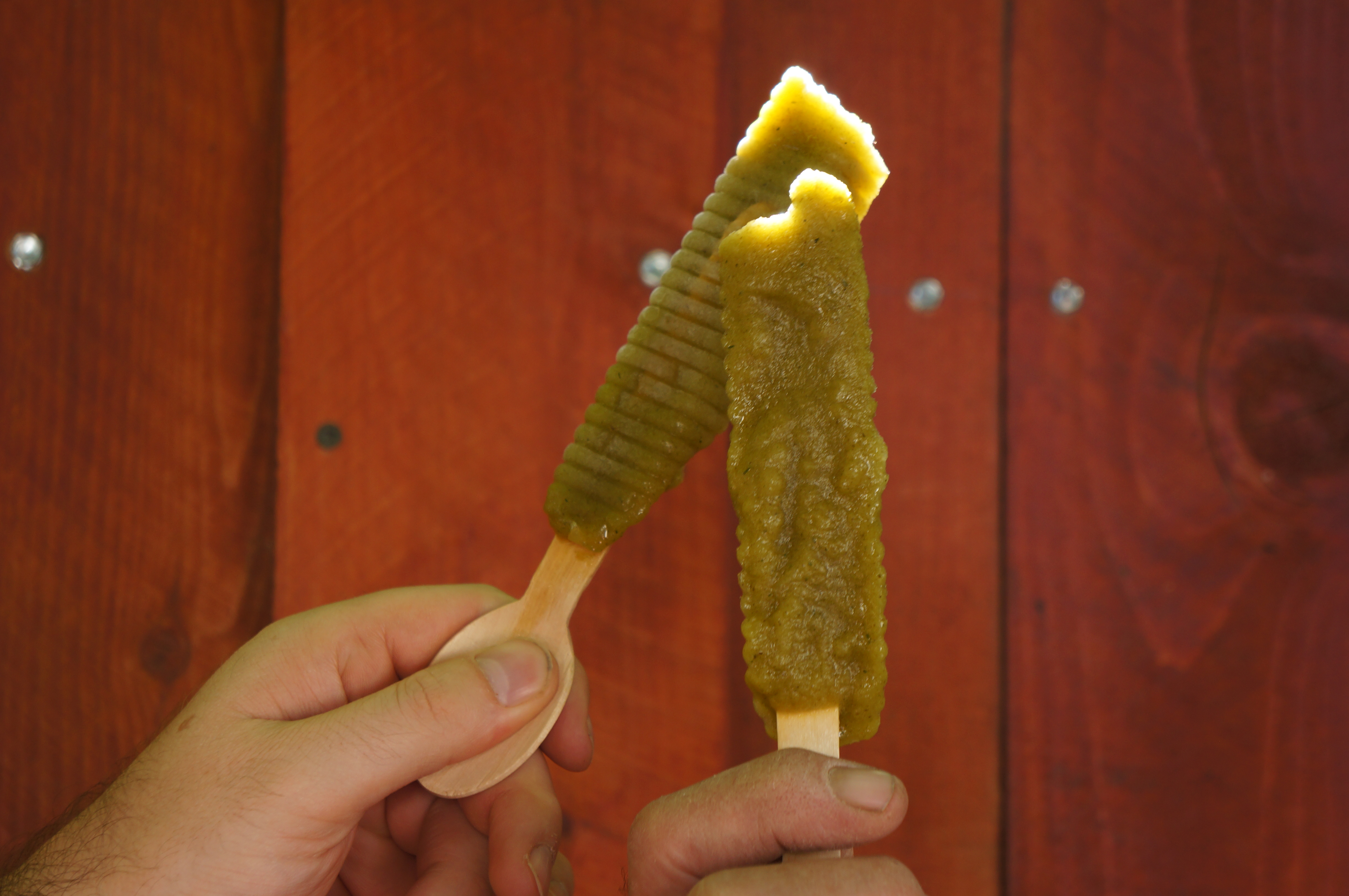 pickle pops 008.JPG