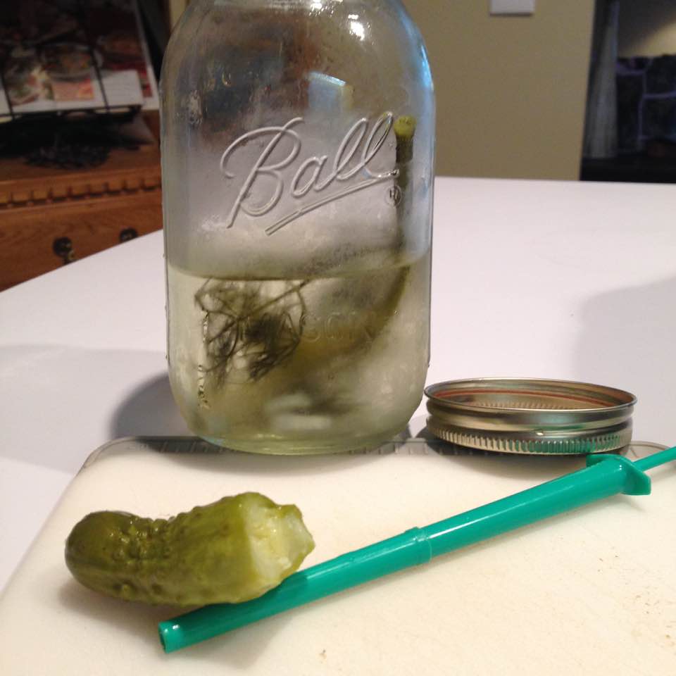 pickle1.jpg