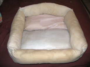 pillowDogBed.jpg