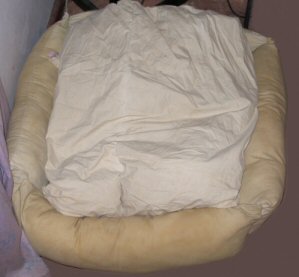 pillowDogBedwithconfort.jpg