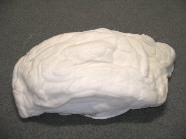 pillowstuffing.jpg