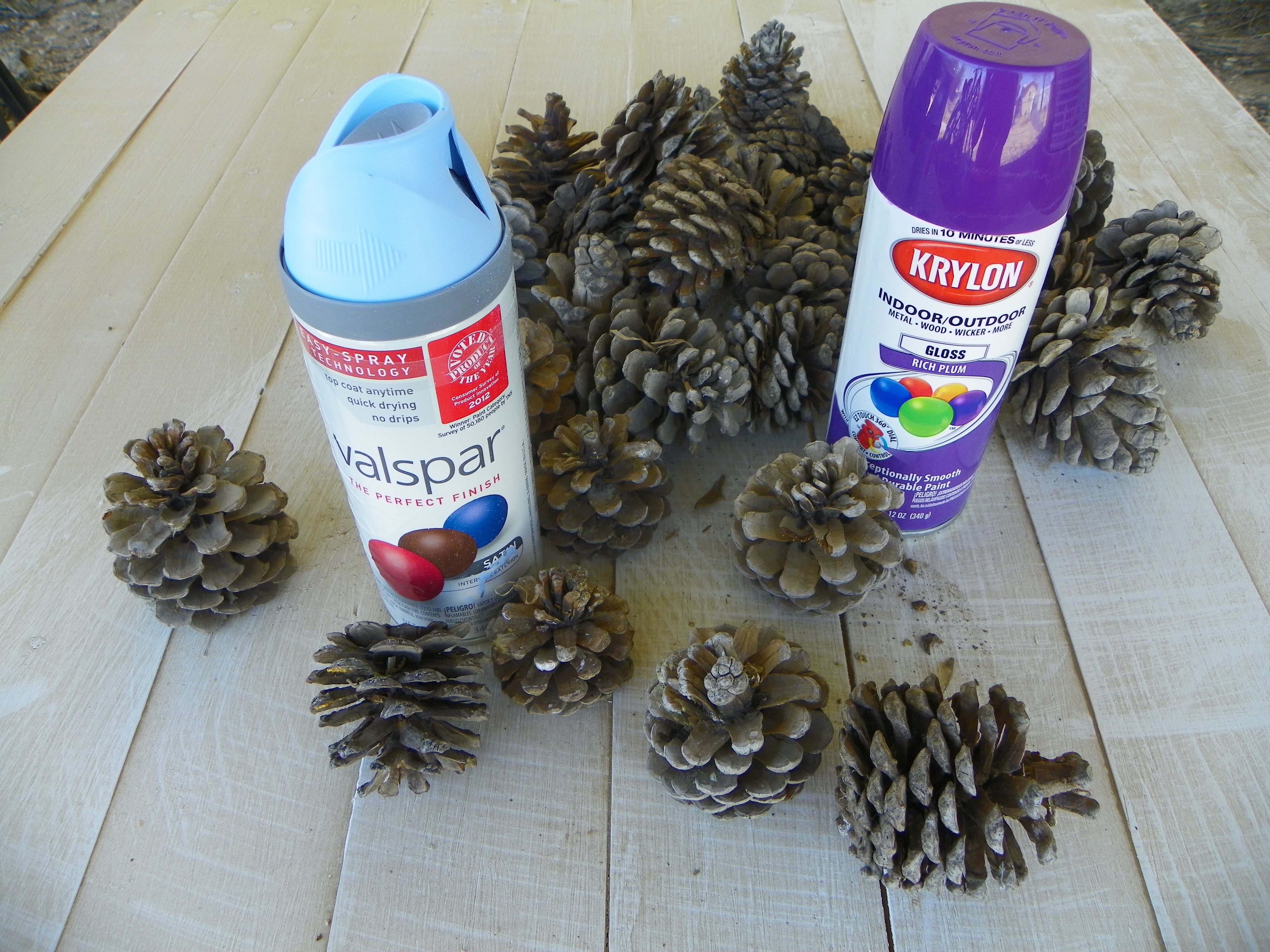 pinecones 002.jpg