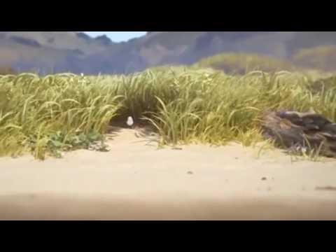 piper pixar short film 2016 full