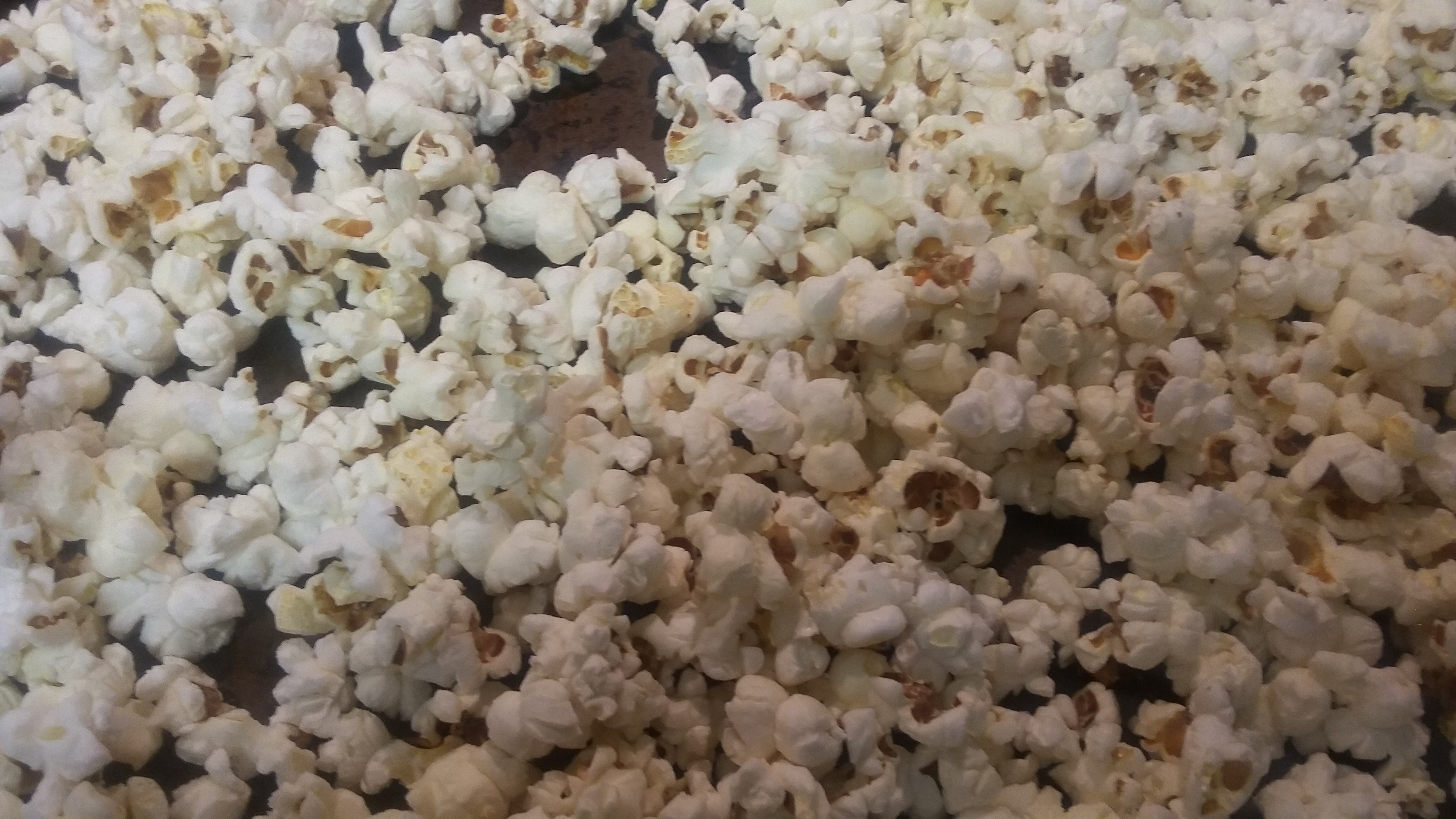 plain popcorn.jpg