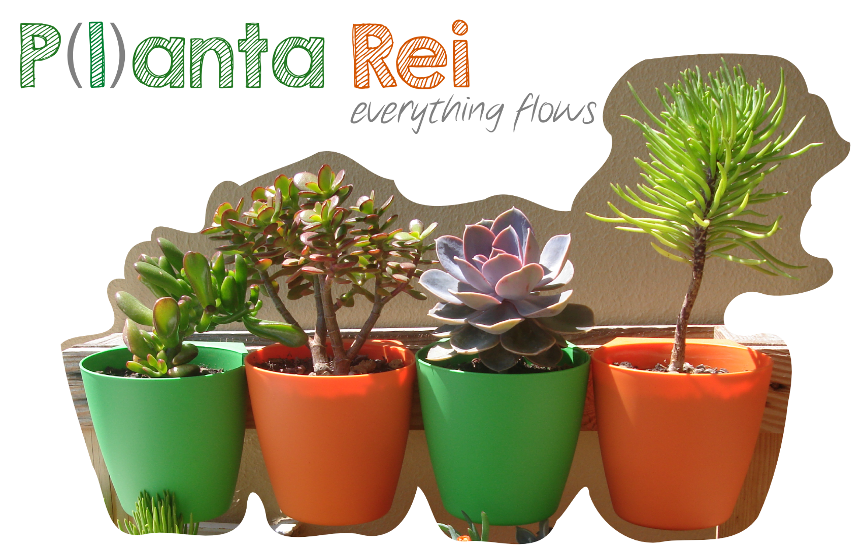 planta_rei.png