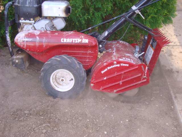 planting water saver grass (185).JPG