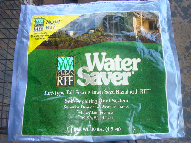 planting water saver grass (69).JPG