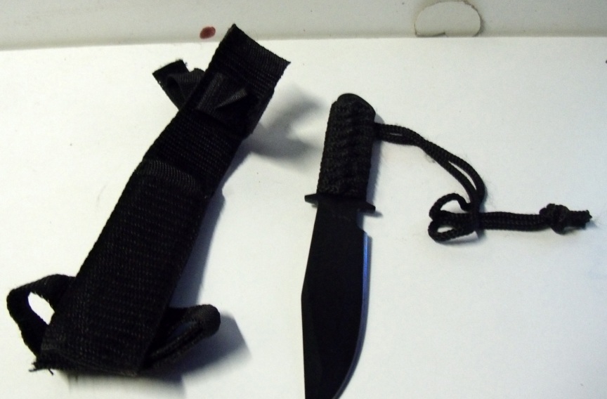 plastic sheath (2).jpg