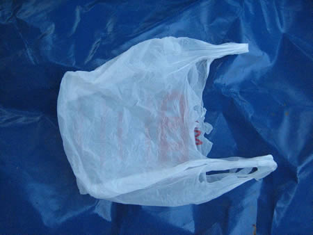 plastic-bag.jpg.jpeg