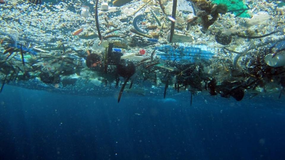 plastics ocean.jpg