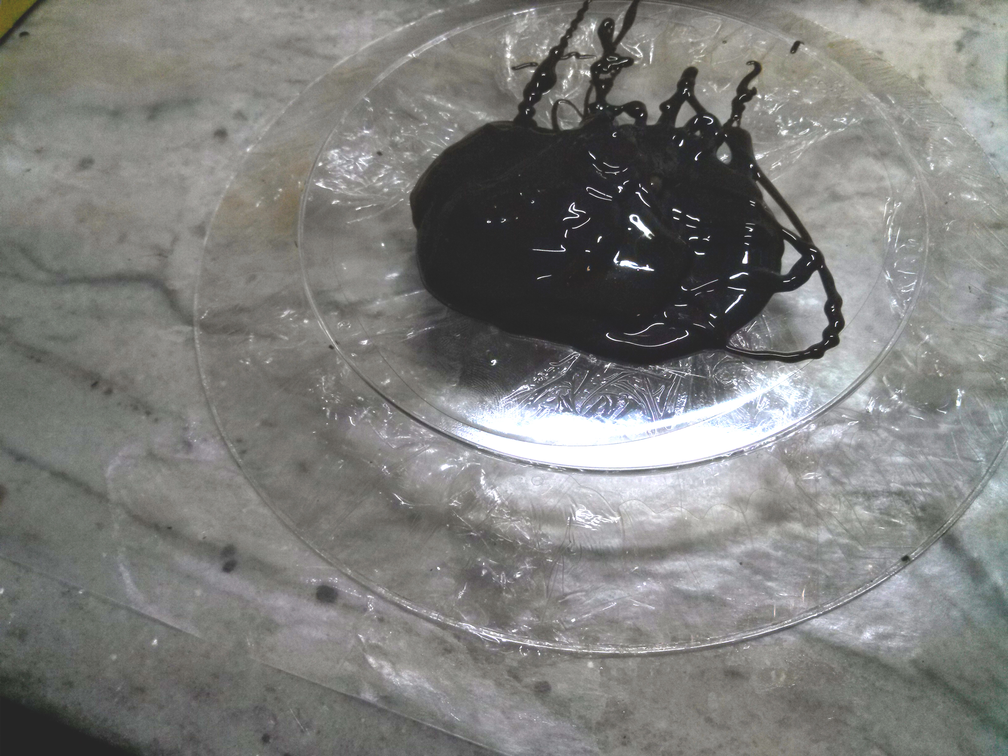 plopin on plates.jpg