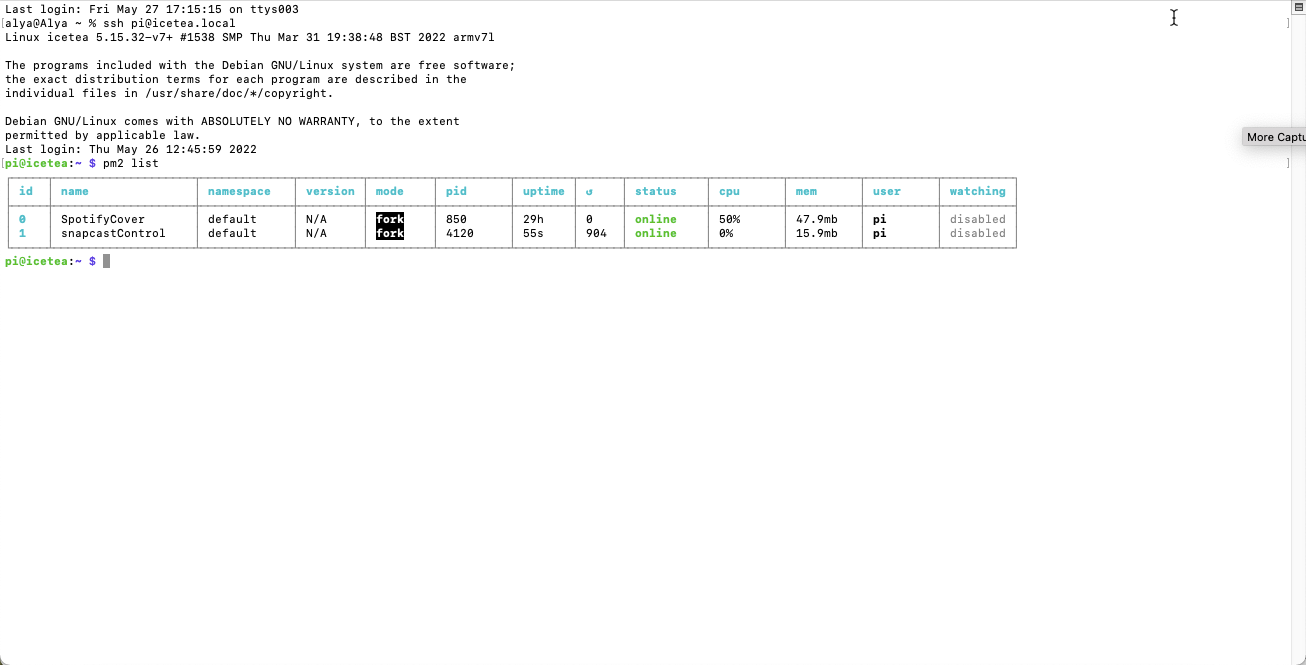 pm2 running.png