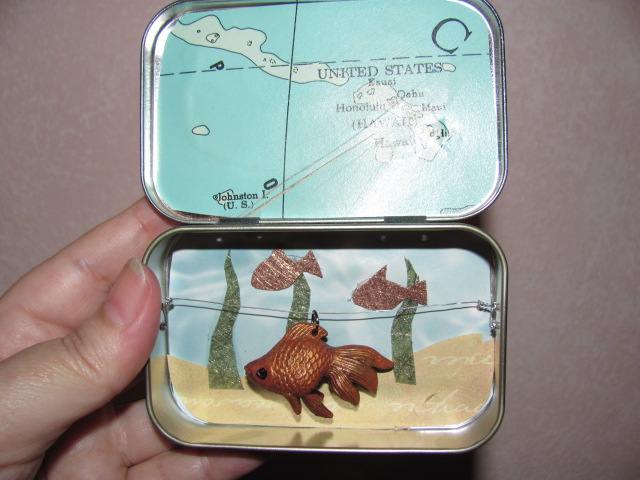 pocket fishtank 001.jpg