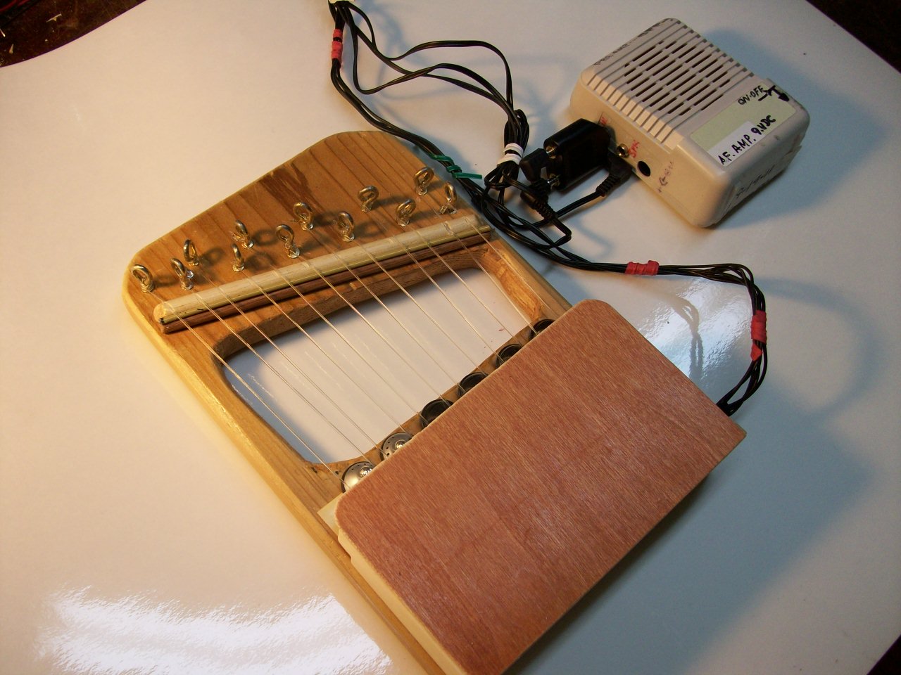 pokit-lyre 11-1-11 007.JPG