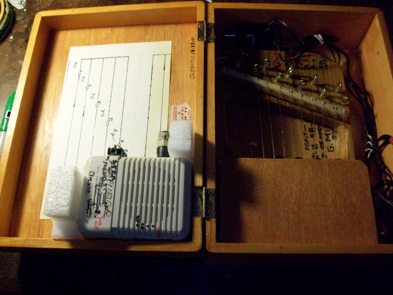 pokit-lyre 11-1-11 013.JPG