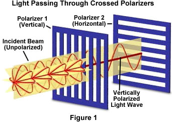 polarizationfigure1.jpg