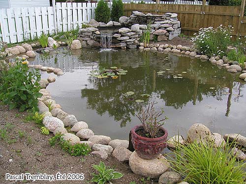 pond_water_garden_2.jpg