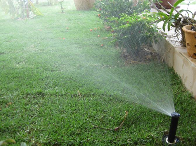 pop up sprinkler 2.JPG