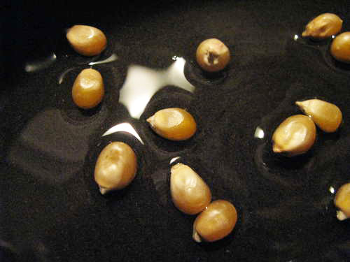 popcorn06.jpg