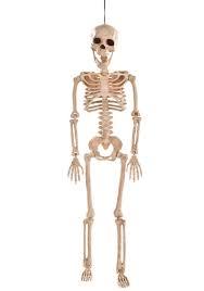 pose skeletons.jpg