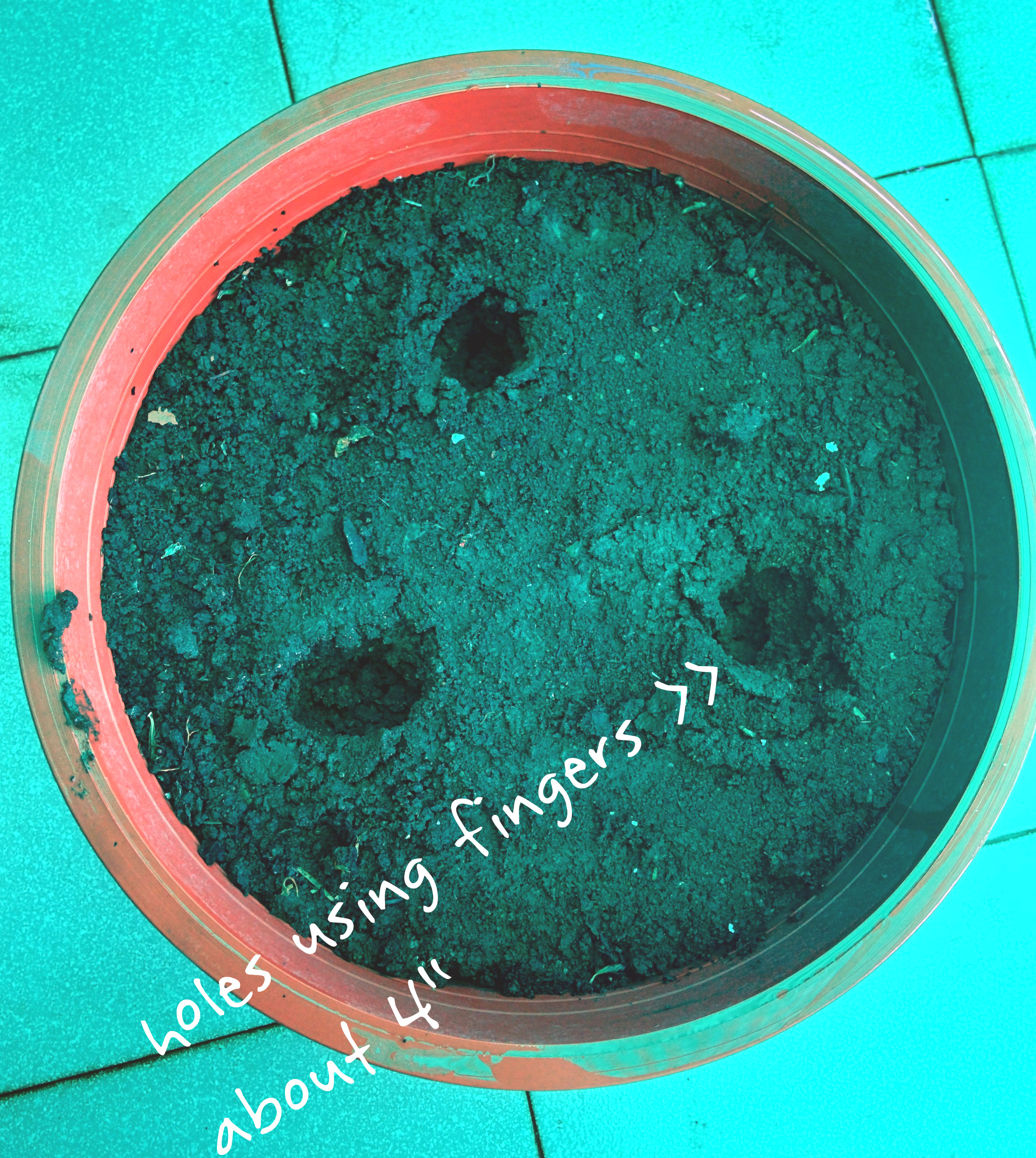 pot2.jpg