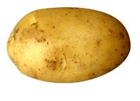 potato.JPG