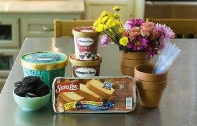 potted-plant-dessert-20-pics_1.jpg