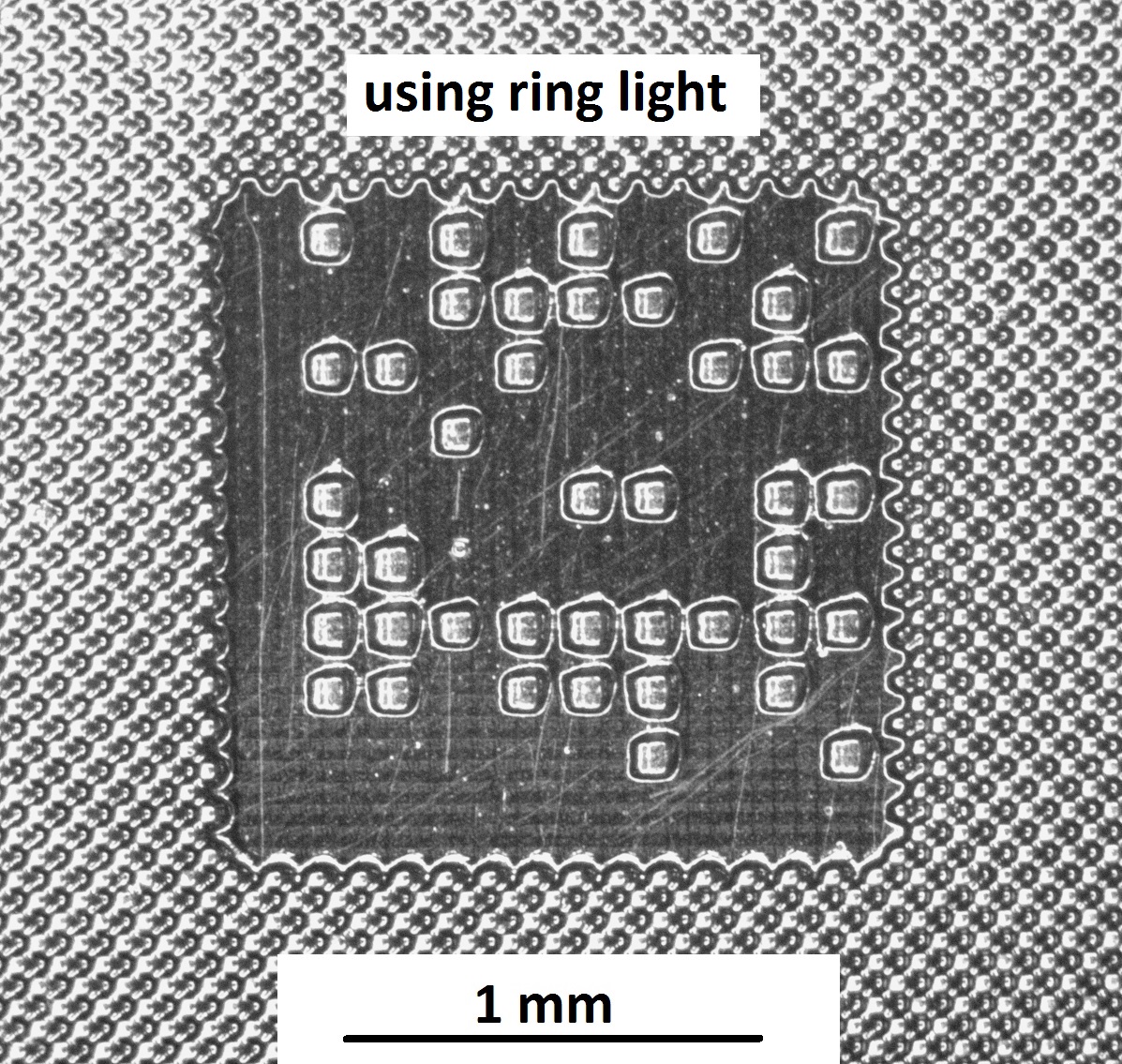 print 2 ring lighted.jpg