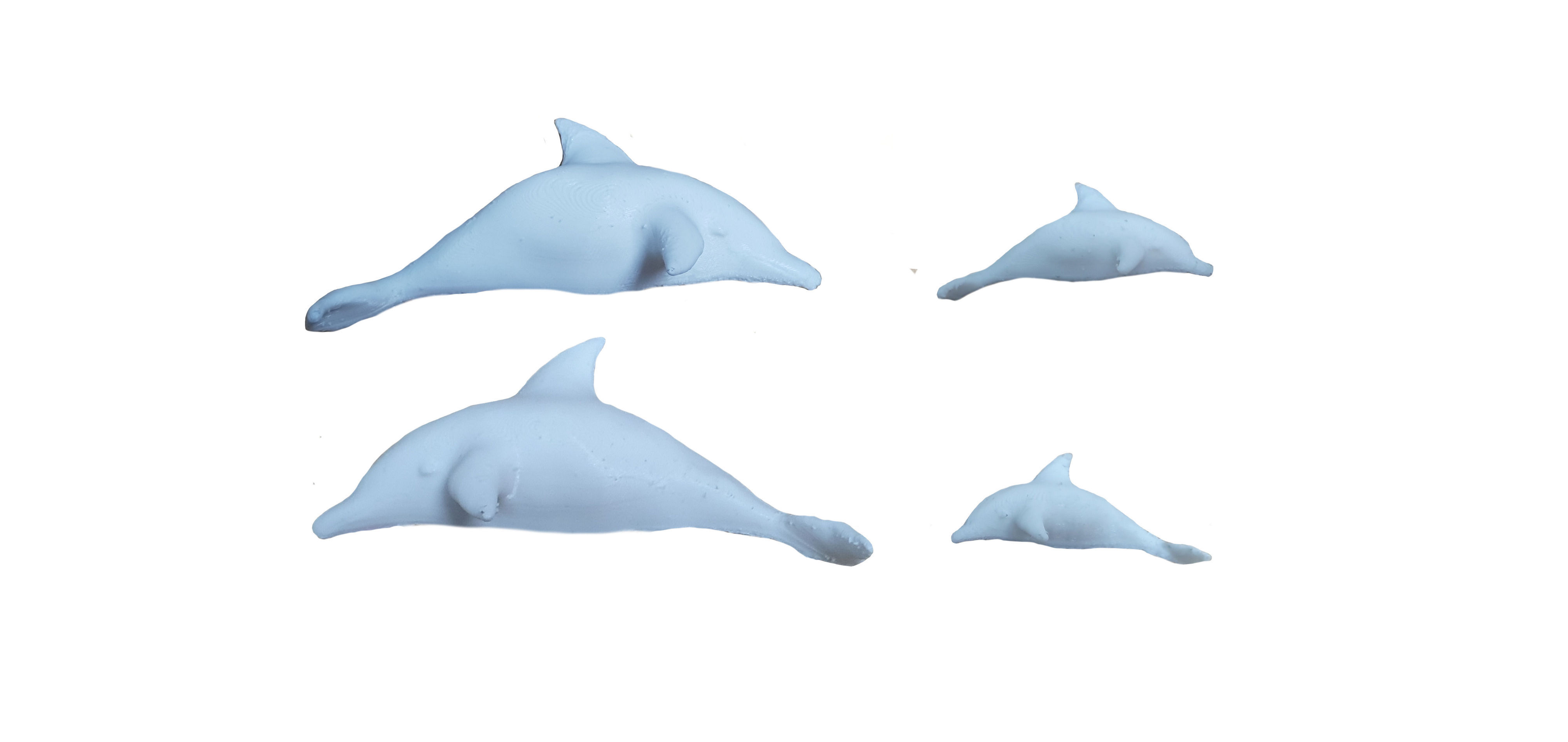 printed dolphins2.jpg