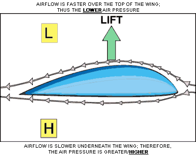 printvleugeeel.png