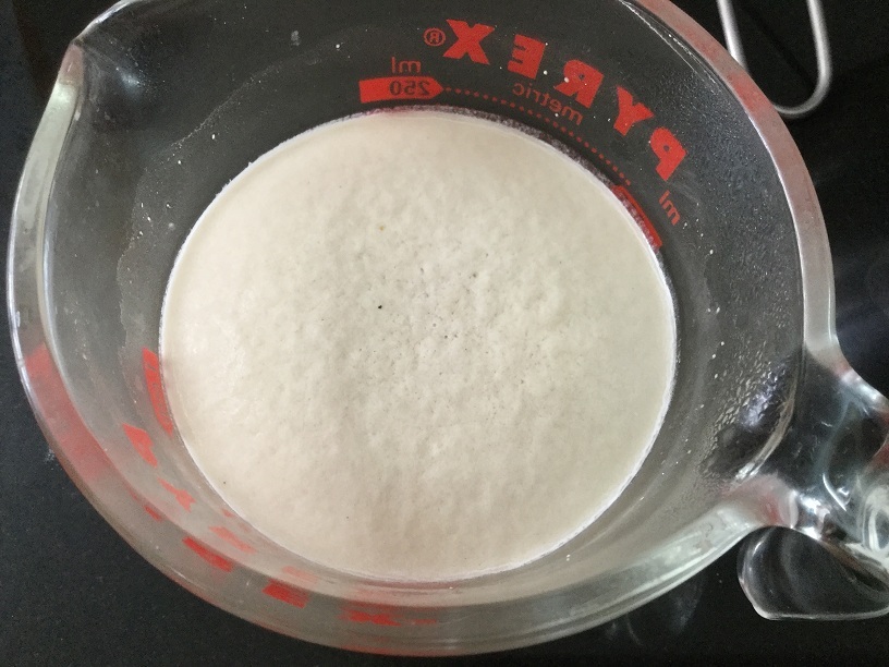 proofed yeast.jpg