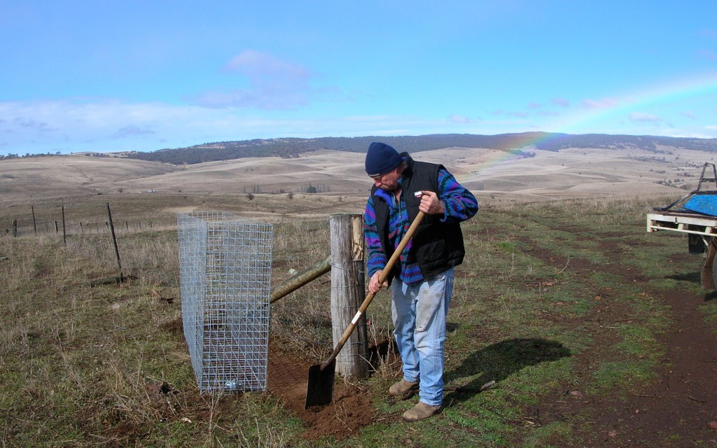 protective_fencing_rural_guard_7-1024x640.jpg