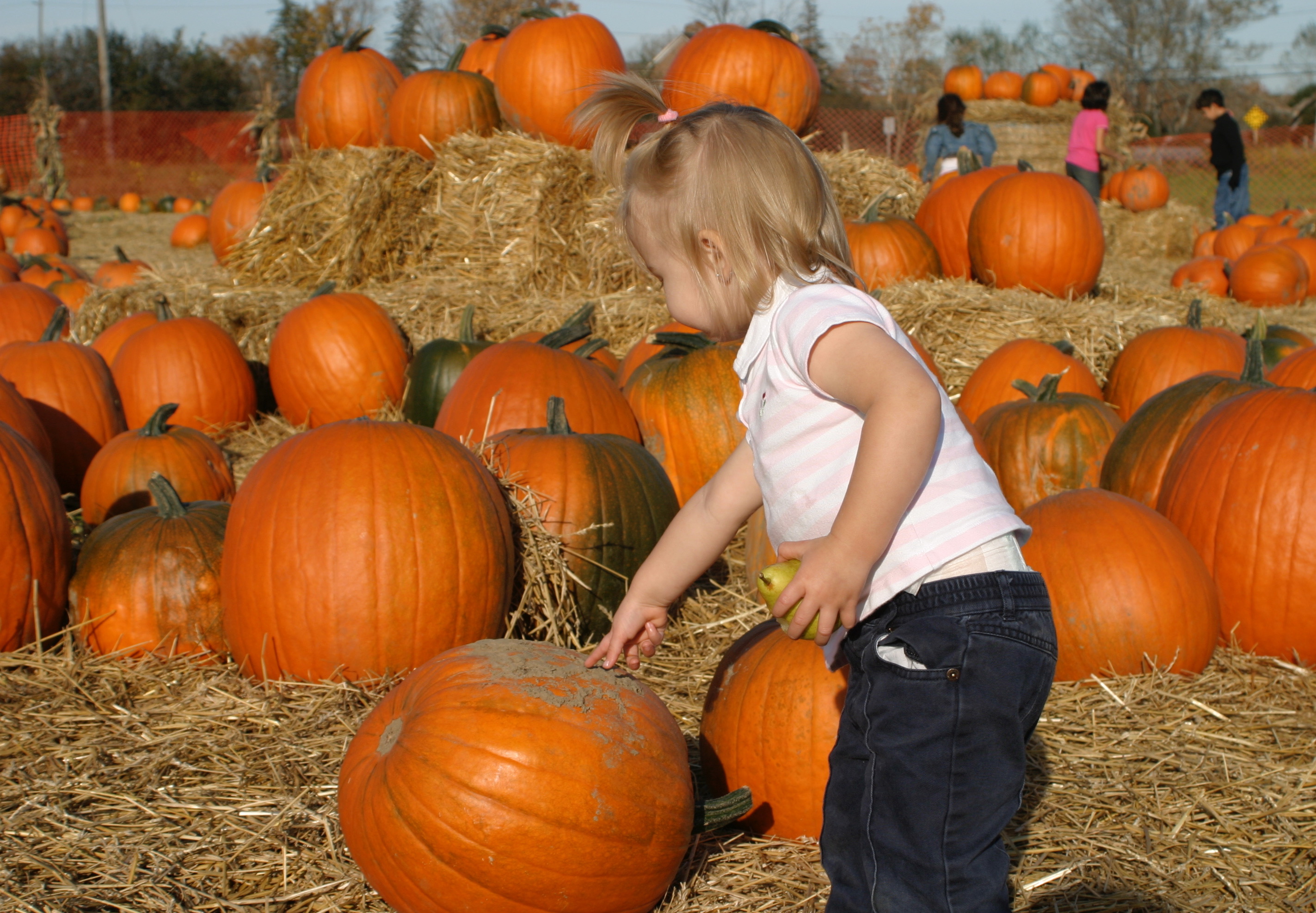 pumkinCarving - 1 (17).jpg