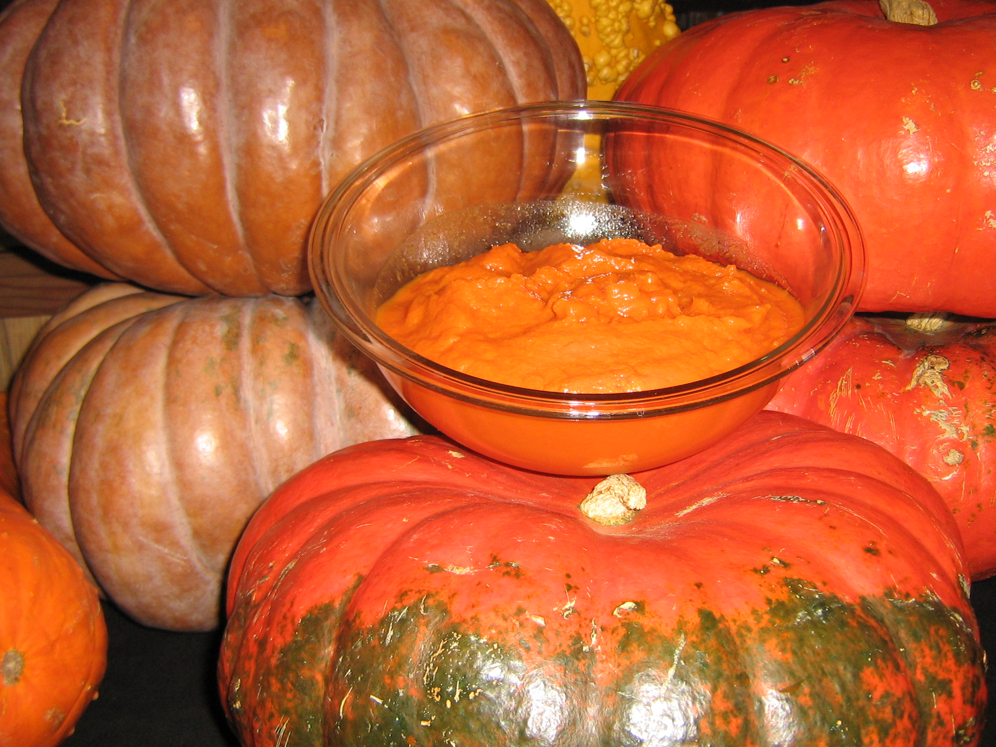 pumpkin 006.jpg