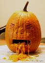pumpkin barf.jpg
