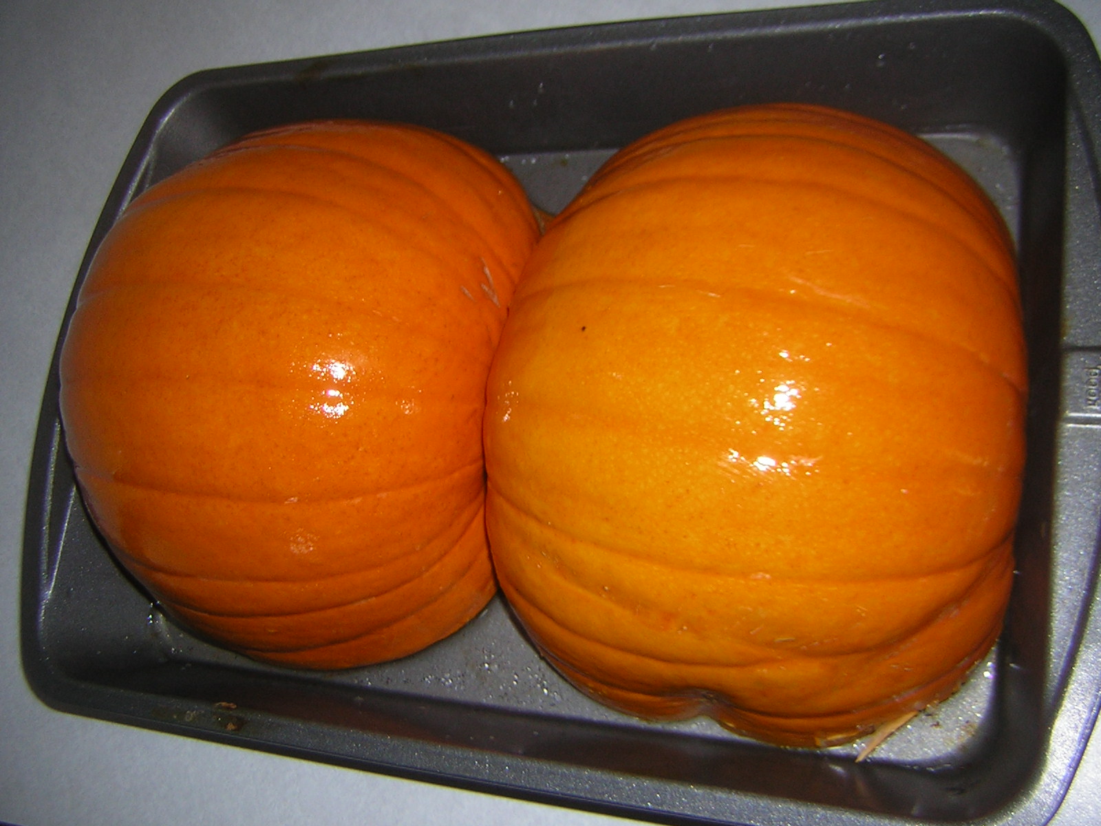 pumpkin patch 020.JPG