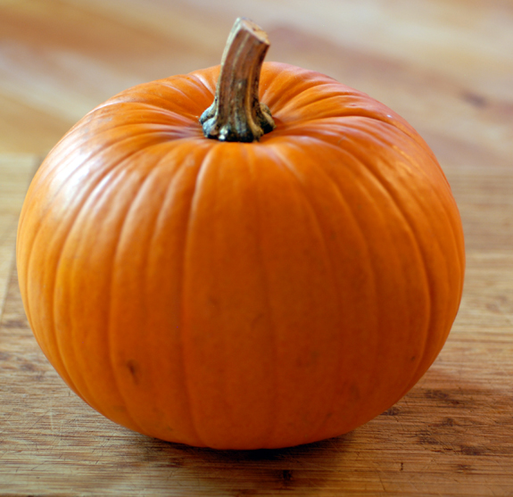 pumpkin.jpg